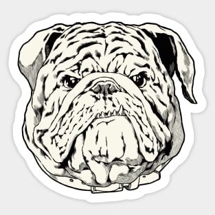 Grumpy Bulldog Sticker